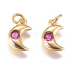 Brass Micro Pave Cubic Zirconia Charms ZIRC-G168-56G-2