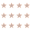 SUPERFINDINGS 12Pcs Star Brooch Pin JEWB-FH0001-43-1