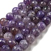 Faceted Natural Dragon Veins Agate Beads Strands X-G-F447-12mm-L04-2