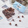  60Pcs Walnut Wood Stud Earring Findings MAK-NB0001-12-6