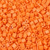 FGB Baking Paint Glass Seed Beads SEED-Q040-09A-03-3