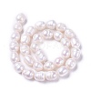 Natural Cultured Freshwater Pearl Beads Strands PEAR-L021-21-01A-3