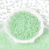 Baking Paint Glass Seed Beads GLAA-T023-43B-1