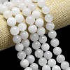 Natural Malaysia Jade Beads Strands G-L645-B01-14mm-01-3