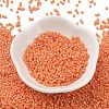 Baking Paint Glass Seed Beads SEED-S042-05B-83-2