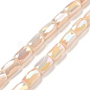 Glass Beads Strands EGLA-P052-03C-05-1
