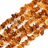 Natural Amber Chip Beads Strands X-G-E271-81-01-1