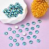 Preciosa® MAXIMA Crystal No Hotfix Flatback Stones Y-PRC-NSS6-60230-200-2