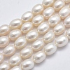 Natural Cultured Freshwater Pearl Beads Strands PEAR-F007-73-1