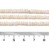 Natural Freshwater Shell Beads Strands SHEL-P017-01B-02-4