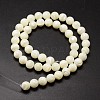 Shell Beads Strands SSHEL-E571-39-8mm-2