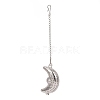 Tarnish Resistant 304 Stainless Steel Tea Infuser AJEW-D048-07P-1
