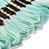 10 Skeins 6-Ply Polyester Embroidery Floss OCOR-K006-A26-2