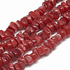 Freshwater Shell Beads Strands SHEL-S270-12-1