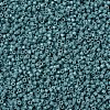 MIYUKI Delica Beads SEED-JP0008-DB2131-4