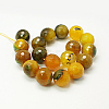 Natural Agate Beads Strands G-H1593-8mm-M-3