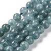 Dyed Natural Malaysia Jade Beads Strands G-G021-01A-01-2