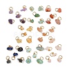 40Pcs 8 Styles Natural Rose Quartz & Amethyst & Lapis Lazuli & Amazonite & Red Agate & Green Aventurine & Sunstone & Topaz Jade Chip Charms PALLOY-JF04211-02-2