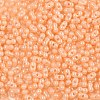 Baking Paint Glass Seed Beads SEED-L011-09A-12-3