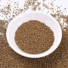 MIYUKI Delica Beads X-SEED-J020-DB0664-2