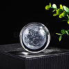 Inner Carving Glass Crystal Ball Diaplay Decoration PW-WGF6175-09-1