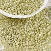 MIYUKI Round Rocailles Beads X-SEED-G008-RR0554-1