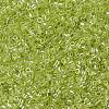 MIYUKI Delica Beads X-SEED-J020-DB1888-3