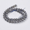 Natural Labradorite Beads Strands G-G213-4mm-03-2