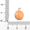 Hamburger Alloy Enamel Charms ENAM-P264-01B-G-4