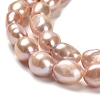 Natural Cultured Freshwater Pearl Beads Strands PEAR-E016-069-2