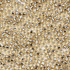 Glass Seed Beads X1-SEED-S042-04A-05-3