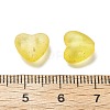Frosted Transparent Acrylic Beads OACR-F013-09-3