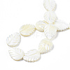 Natural Trochid Shell/Trochus Shell Beads Strands SSHEL-N034-136A-01-4