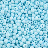 8/0 Opaque Glass Seed Beads X1-SEED-S048-N-012-3