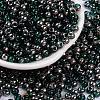Glass Seed Beads SEED-A032-06Q-1