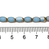 Electroplate Glass Beads Strands EGLA-P061-02B-02-4