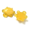 Luminous Resin Cabochons RESI-M047-01E-4