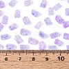 Transparent Spray Painted Glass Seed Beads SEED-L011-10A-18-4