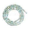 Natural Amazonite Bead Strands G-P279-42-3mm-8