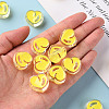 Transparent Enamel Acrylic Beads TACR-S155-004H-5