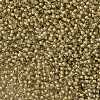 TOHO Round Seed Beads X-SEED-TR11-1073-2