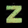 Luminous Resin Pendants RESI-I059-Z01-3