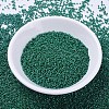 MIYUKI Delica Beads SEED-J020-DB0656-2