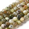 Dyed & Heated Natural Fire Crackle Agate Beads Strands G-P539-C01-03-1