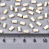2-Hole Glass Seed Beads X-SEED-S031-M-SH1001F-2