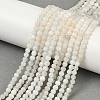 Natural White Moonstone Beads Strands G-D294-4mm-02-5