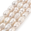 Natural Cultured Freshwater Pearl Beads Strands PEAR-P062-08A-2