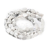 Natural Howlite Beads Strands G-P497-01C-64-3