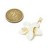 Natural Carved Freshwater Shell Pendants PALLOY-JF03390-2