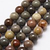 Natural New Ocean Jasper Bead Strands G-G954-01-8mm-2